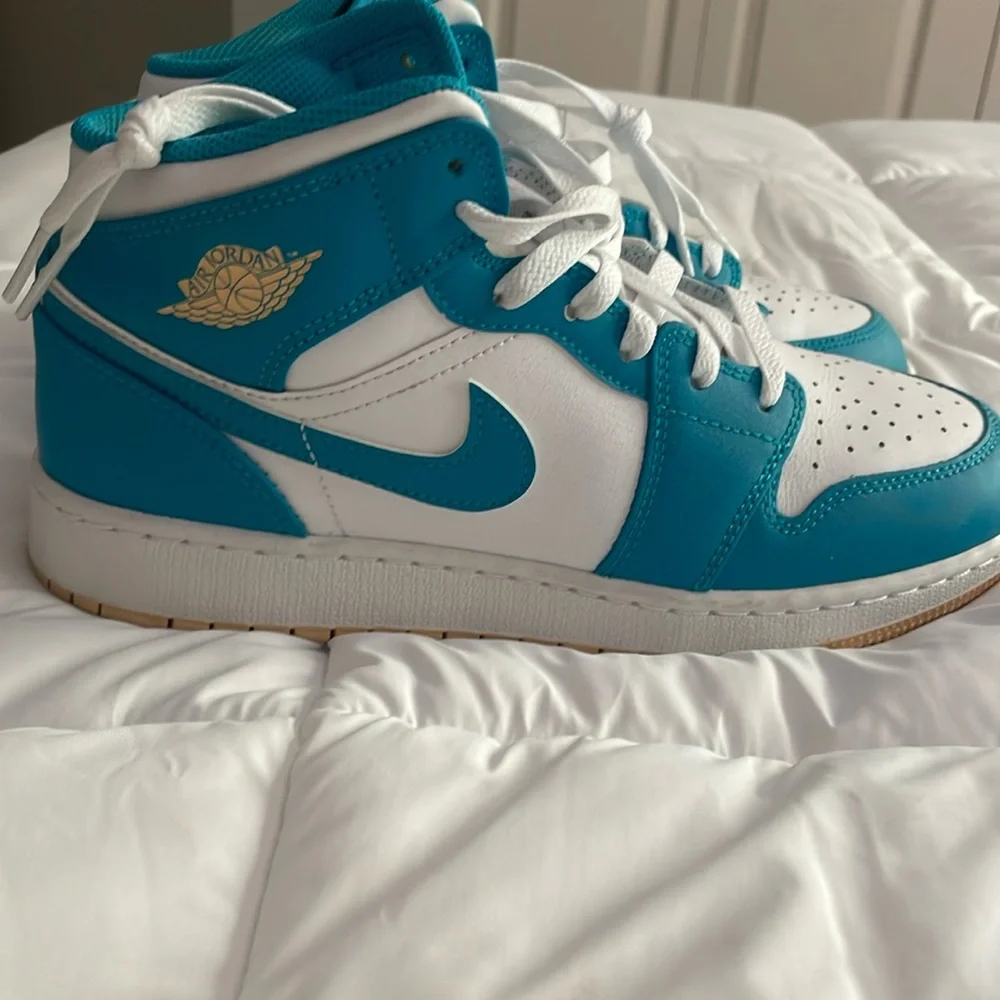 Nike Jordan 1